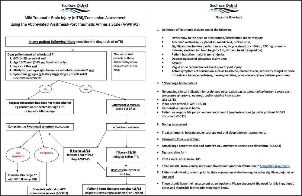Mild Traumatic Brain Injury Concussion Assessment